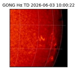 gong - 2026-06-03T10:00:22
