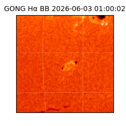 gong - 2026-06-03T01:00:02