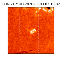 gong - 2026-06-03T02:19:02