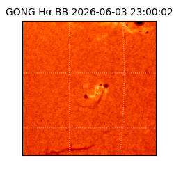 gong - 2026-06-03T23:00:02