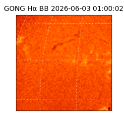 gong - 2026-06-03T01:00:02