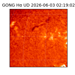 gong - 2026-06-03T02:19:02