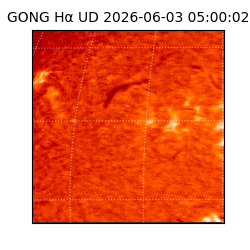 gong - 2026-06-03T05:00:02