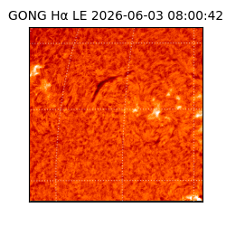 gong - 2026-06-03T08:00:42