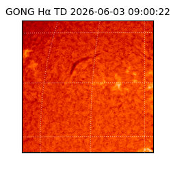 gong - 2026-06-03T09:00:22