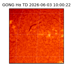 gong - 2026-06-03T10:00:22