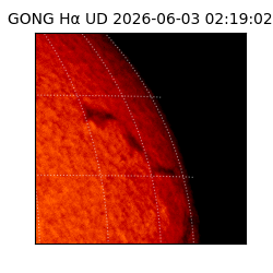 gong - 2026-06-03T02:19:02