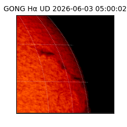 gong - 2026-06-03T05:00:02