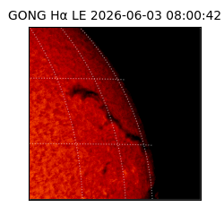 gong - 2026-06-03T08:00:42