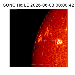 gong - 2026-06-03T08:00:42