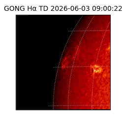 gong - 2026-06-03T09:00:22