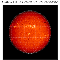 gong - 2026-06-03T06:00:02