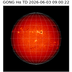 gong - 2026-06-03T09:00:22