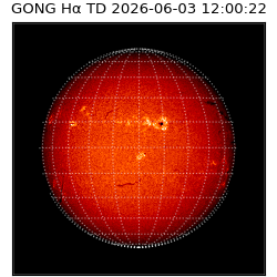 gong - 2026-06-03T12:00:22