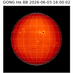 gong - 2026-06-03T16:00:02