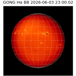 gong - 2026-06-03T23:00:02