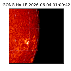 gong - 2026-06-04T01:00:42