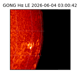 gong - 2026-06-04T03:00:42