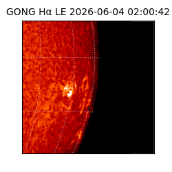 gong - 2026-06-04T02:00:42