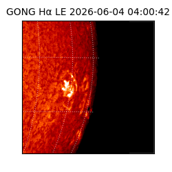 gong - 2026-06-04T04:00:42