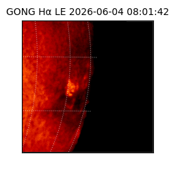 gong - 2026-06-04T08:01:42