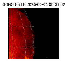 gong - 2026-06-04T08:01:42
