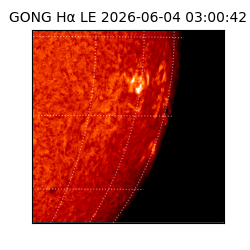 gong - 2026-06-04T03:00:42
