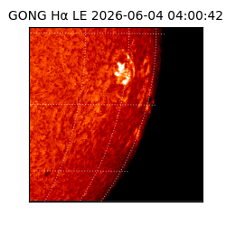 gong - 2026-06-04T04:00:42