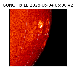 gong - 2026-06-04T06:00:42