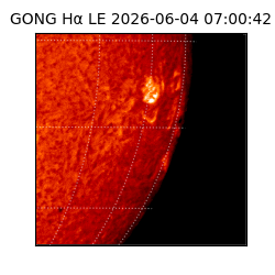 gong - 2026-06-04T07:00:42