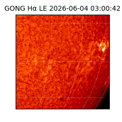 gong - 2026-06-04T03:00:42