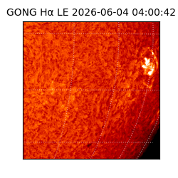 gong - 2026-06-04T04:00:42