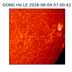 gong - 2026-06-04T07:00:42