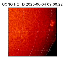 gong - 2026-06-04T09:00:22