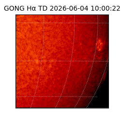 gong - 2026-06-04T10:00:22
