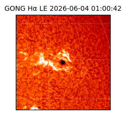 gong - 2026-06-04T01:00:42