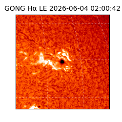gong - 2026-06-04T02:00:42