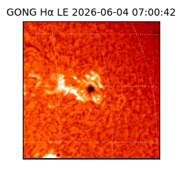 gong - 2026-06-04T07:00:42