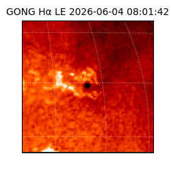gong - 2026-06-04T08:01:42