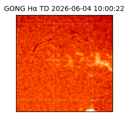 gong - 2026-06-04T10:00:22