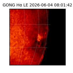 gong - 2026-06-04T08:01:42