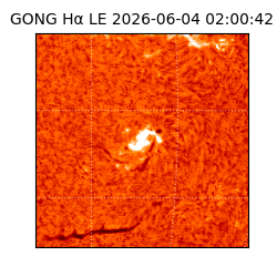 gong - 2026-06-04T02:00:42