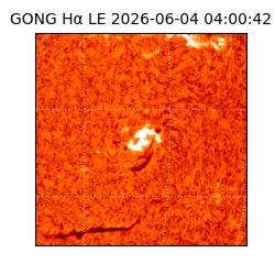 gong - 2026-06-04T04:00:42