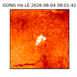 gong - 2026-06-04T08:01:42