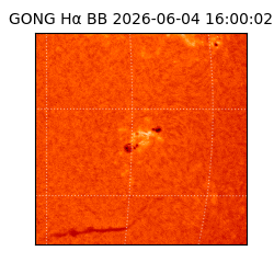 gong - 2026-06-04T16:00:02
