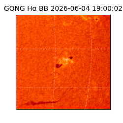 gong - 2026-06-04T19:00:02