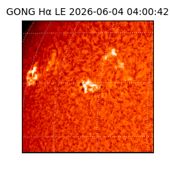 gong - 2026-06-04T04:00:42