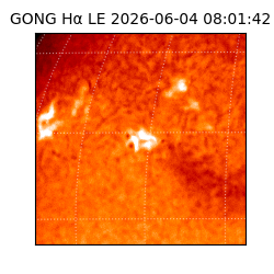 gong - 2026-06-04T08:01:42