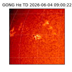 gong - 2026-06-04T09:00:22