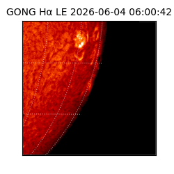 gong - 2026-06-04T06:00:42